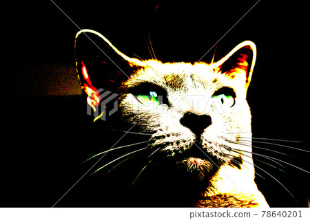 Cat russian blue 78640201