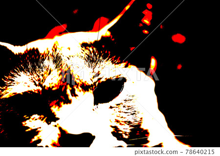 貓俄羅斯藍色 78640215