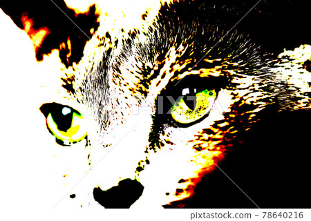 貓俄羅斯藍色 78640216