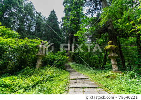 Early summer Dewa Miyama Shrine, a row of cedar trees and approach to Haguroyama, Tsuruoka City, Yamagata Prefecture Early summer Dewa Miyama Shrine, a row of cedar trees and approach to Haguroyama, Tsuruoka City, Yamagata Prefecture 78640221