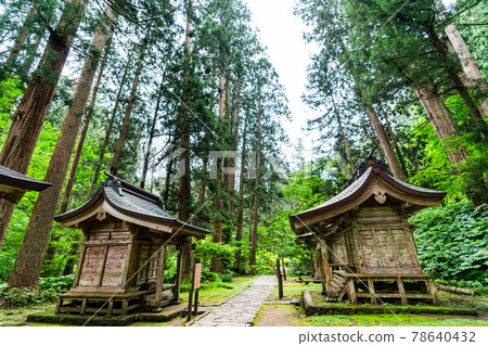 初夏出羽宮山神社,一排杉樹和通往山形縣鶴岡市羽黑山的道路 初夏出羽宮山神社,一排杉樹和通往山形縣鶴岡市羽黑山的道路 78640432