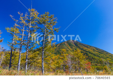 A magnificent Mt. Nantai looking up from Senjogahara A magnificent Mt. Nantai looking up from Senjogahara 78640565