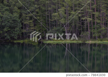 Trees reflecting on the surface of Mishakaike Pond Trees reflecting on the surface of Mishakaike Pond 78641830