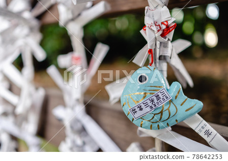 川越近宮 川越近宮 78642253