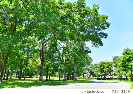 Musashinonomori Park / Playground (Mitaka City, Tokyo) [2021.6] 78643369