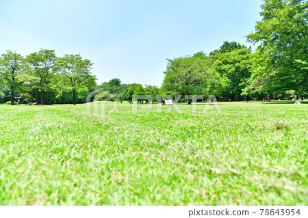 野川公園/大草坪（東京都調布市）[2021.6] 78643954