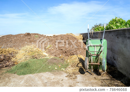Green rusty wheelbarrow stands in a concrete container for crops, garbage or hay 78646088