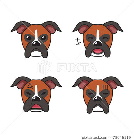 Set of character boxer dog faces showing different emotions Set of character boxer dog faces showing different emotions 78646119