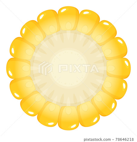 Illustration of cross section of corn_Slice Illustration of cross section of corn_Slice 78646218