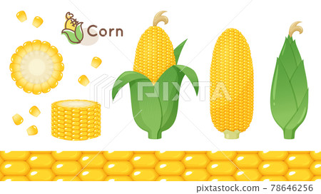 玉米插畫素材套裝 78646256