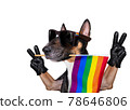 gay pride dog 78646806