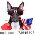 independence day 4th of july dog 78646807