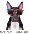 independence day 4th of july dog 78646808