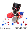 independence day 4th of july dog 78646809