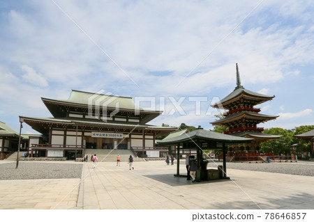 千葉縣成田市成田山新勝寺正殿和三重塔 78646857