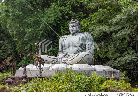 Giant daibutsu figure of the Buddha at Hanibe caves, Japan. Giant daibutsu figure of the Buddha at Hanibe caves, Japan. 78647562