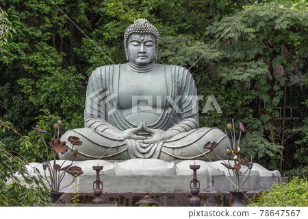 Giant Buddha, Hanibe caves, Komatsu, Japan. 78647567