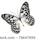 Realistic butterfly white black colors isolated on white background 78647899