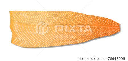 Salmon fish fillet realistic vector illustration isolated on white background 78647906