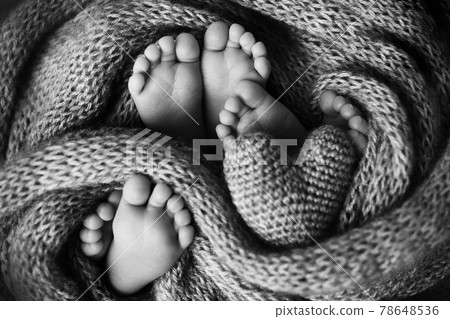 The legs of three newborn babies in a blanket. The heart is in the legs of newborn triplets. Black and white studio photography. The legs of three newborn babies in a blanket. The heart is in the legs of newborn triplets. Black and white studio photography. 78648536