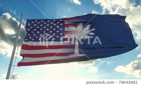 Flag of USA and South Carolina state. USA and South Carolina Mixed Flag waving in wind. 3d rendering 78648982