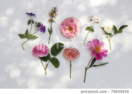 Feminine summer floral composition. Garden flowers and herbs isolated on white table background in sunlight. Colorful roses, sage, peony and geranium blooms and leaves. Flat lay, top view. 78649038