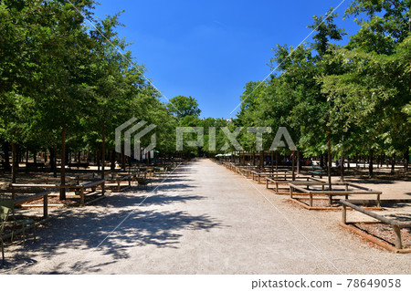 Taken on June 2, 2020, in the Luxembourg Gardens, Paris, France. 78649058