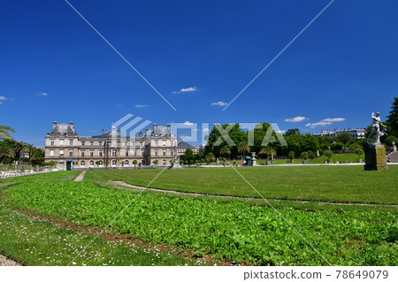 於 2020 年 6 月 2 日在法國巴黎盧森堡花園拍攝。 78649079