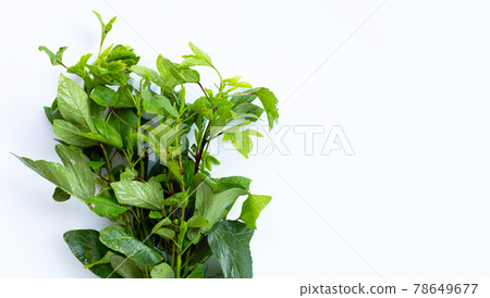 Roselle leaves isolated on white background. 78649677