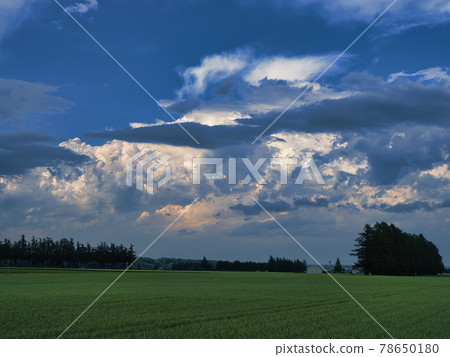 Rough sky 78650180