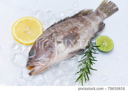 Fresh raw seafood fish for cooked food, Grouper fish on ice with rosemary lemon Fresh raw seafood fish for cooked food, Grouper fish on ice with rosemary lemon 78650658