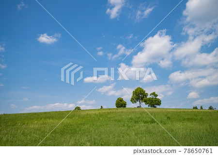 夏日丘陵 78650761