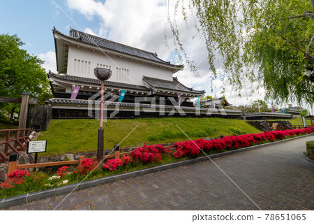 昇龍寺城跡霧島杜鵑花 昇龍寺城跡霧島杜鵑花 78651065