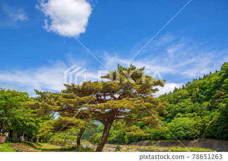 Along the Hoki River, the Shiobara Valley sidewalk, the scenery near the promenade Along the Hoki River, the Shiobara Valley sidewalk, the scenery near the promenade 78651263