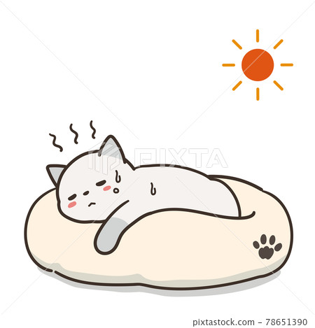 Unwell cat and sun heat stroke Unwell cat and sun heat stroke 78651390