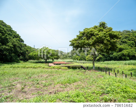 Koajiro no Mori Enoki Terrace 六月三浦半島 Koajiro no Mori Enoki Terrace 六月三浦半島 78651682
