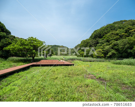 Koajiro no Mori Enoki Terrace 六月三浦半島 Koajiro no Mori Enoki Terrace 六月三浦半島 78651683