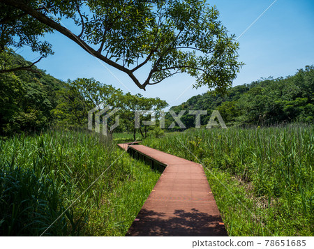 Koajiro no Mori Enoki Terrace 六月三浦半島 Koajiro no Mori Enoki Terrace 六月三浦半島 78651685