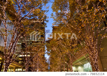 東京丸之內Naka Dori Illuminations 東京丸之內Naka Dori Illuminations 78652114