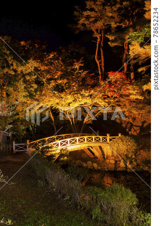 【縱向構圖】日本夜景中的秋葉,包括函館市三晴公園的一座橋 【縱向構圖】日本夜景中的秋葉,包括函館市三晴公園的一座橋 78652234