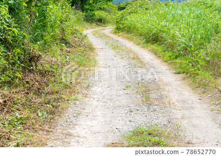 土路,土路,鄉村路 土路,土路,鄉村路 78652770