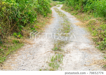 土路,土路,鄉村路 土路,土路,鄉村路 78652774