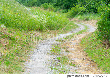 Dirt / dirt road, country road Dirt / dirt road, country road 78652787
