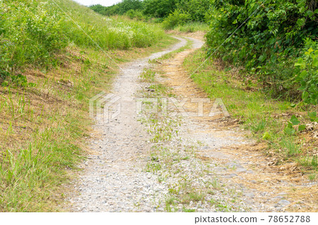 土路，土路，鄉村路 78652788