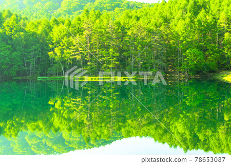 Fresh green, eco-image "Nagano prefecture, Akaike" 78653087