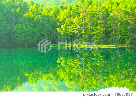 Fresh green, eco-image "Nagano prefecture, Akaike" 78653097