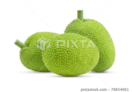 breadfruit on white background 78654061