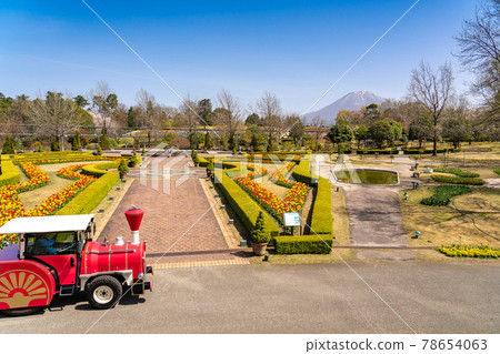 Flower train around the European garden of Tottori Flower Park in Tottori Prefecture Flower train around the European garden of Tottori Flower Park in Tottori Prefecture 78654063