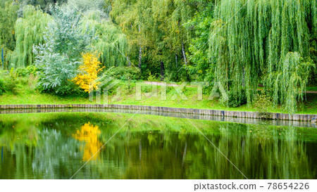 Early fall in a park 78654226