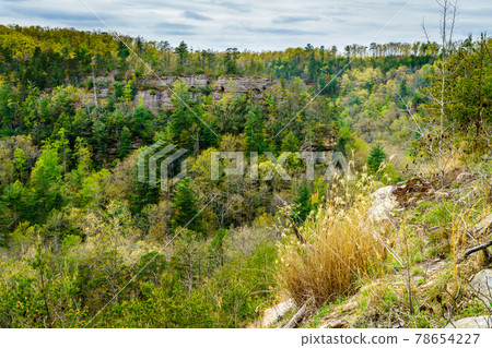 Red River Gorge Geological Area 78654227